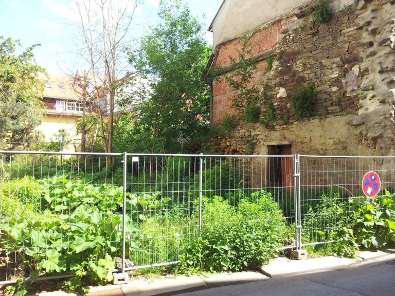 09599 Freiberg Moritzstrasse 1